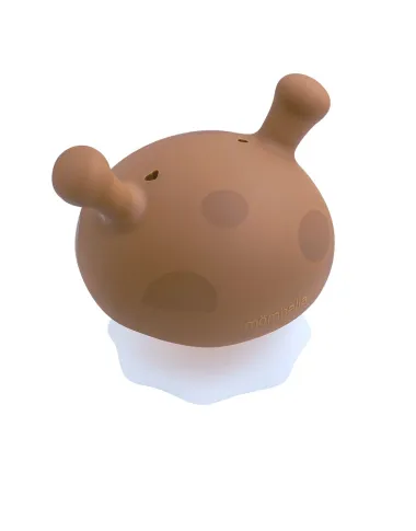 Mombella kramtukas Grybas rudas - vaizdas baltame fone