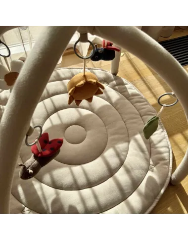 Bērnu rotaļu paklājiņš Ladybug (90 cm)