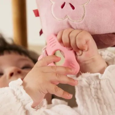 Kramtukas ir barškutis lavinamajame kube Miniland Deer