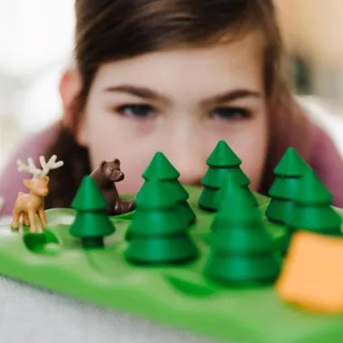 Loginis žaidimas Grizzly Gears vaikams nuo 7 metų