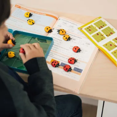 Loģiskā spēle Logibugs | Lapute.lt