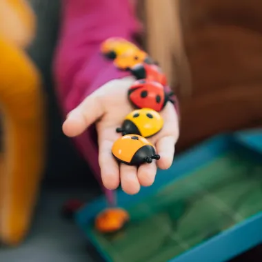 Loģiskā spēle Logibugs | Lapute.lt