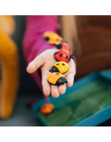 Loģiskā spēle Logibugs