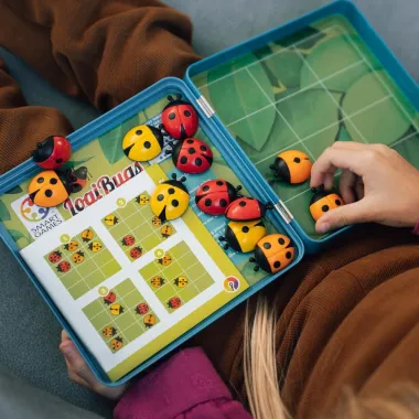Loģiskā spēle Logibugs | Lapute.lt