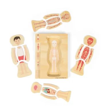 Edukacinis medinis žaislas apie žmogaus kūną.
