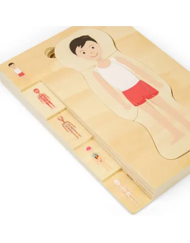 Medinė žmogaus anatomijos dėlionė Berniukas su kūno sluoksniais.