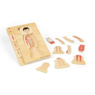 Dėlionė vaikams - žmogaus kūno sandara, raumenys ir organai.