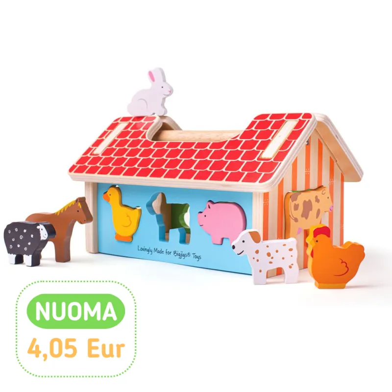 Bigjigs koka figūru šķirotājs - Koka rotaļlietas - Lapute.lt