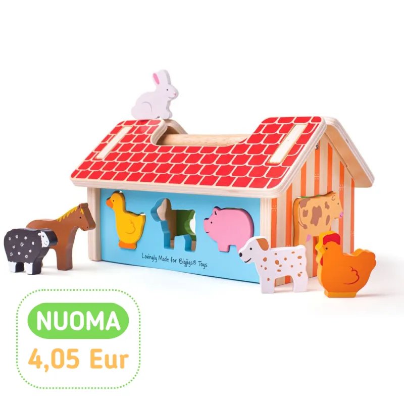 Bigjigs medinė formų rūšiuoklė - Mediniai lavinamieji žaislai