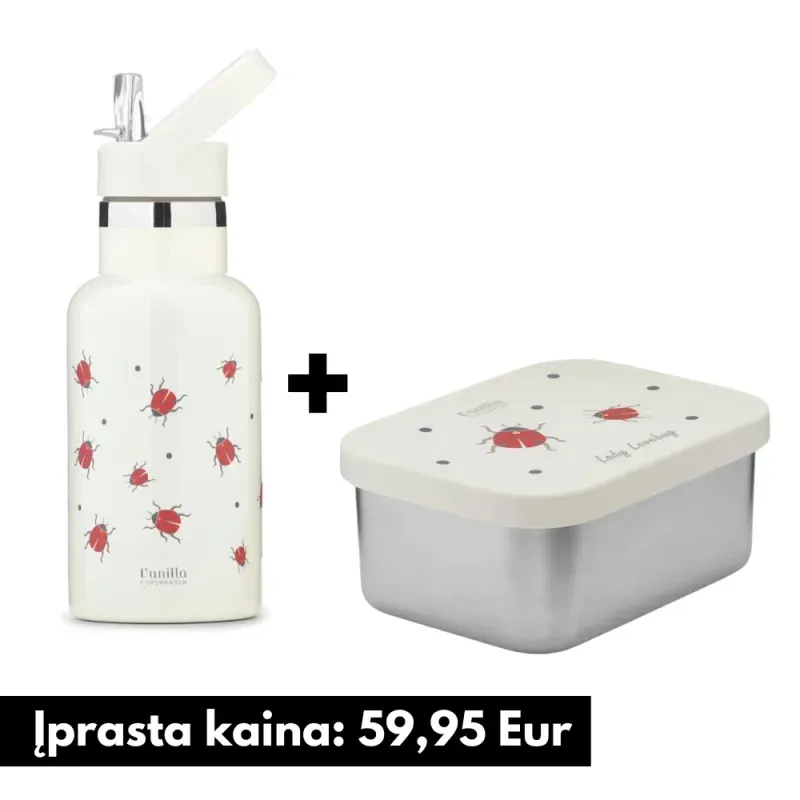 Rinkinys Boružėlių pertraukėlė