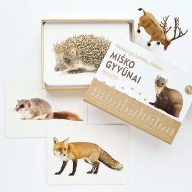 Izglītojošas kartes bērniem - Grāmatas bērniem - Lapute.lt