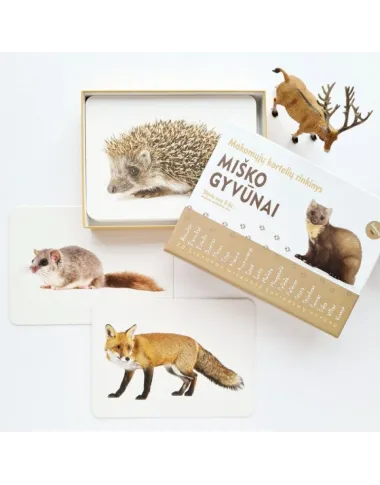 Mokomosios kortelės vaikams - Knygos vaikams