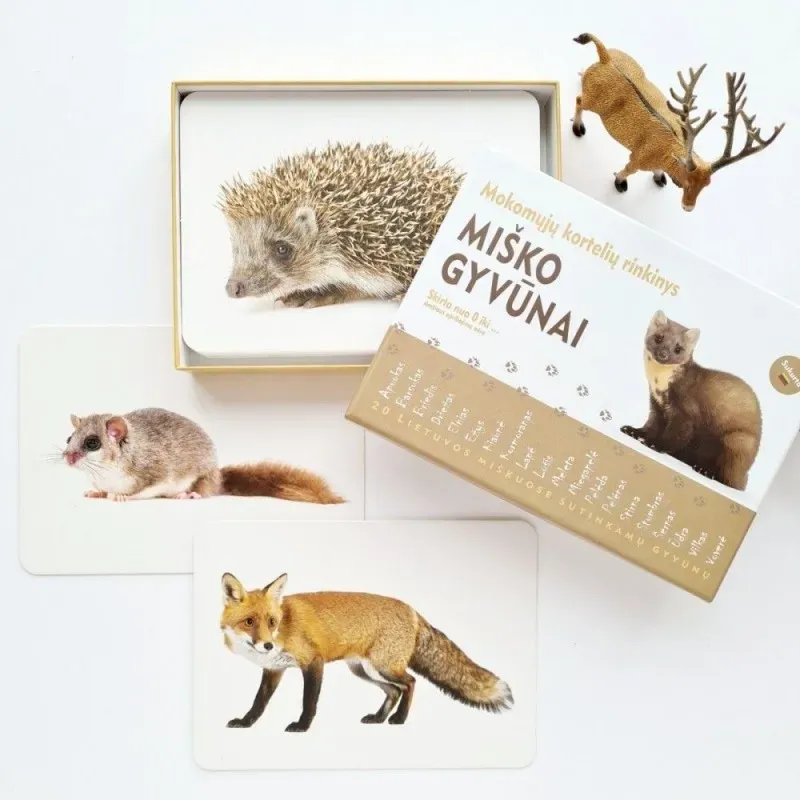 Mokomosios kortelės vaikams - Knygos vaikams