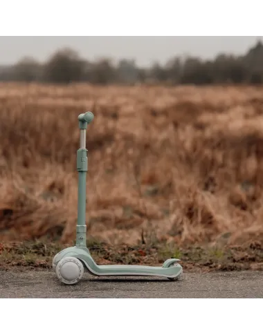 Vanilla Copenhagen vaikiškas paspirtukas, Fern Vanilla Copenhagen vaikiškas paspirtukas, Fern