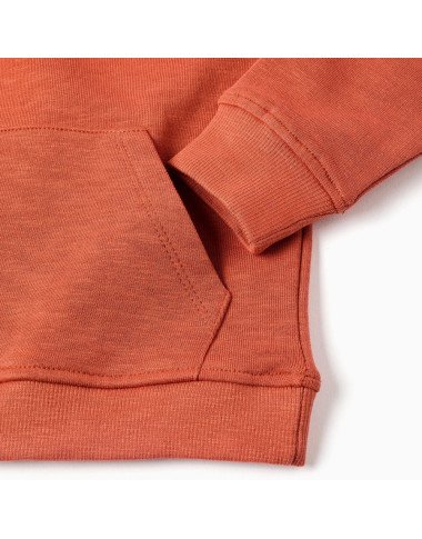 ZIPPY oranžinis medvilninis džemperis berniukui su spauda
