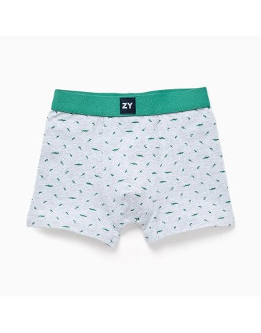 Apakšveļas bokseršorti zēniem, 4 pāri (2/3–13/14 g.)