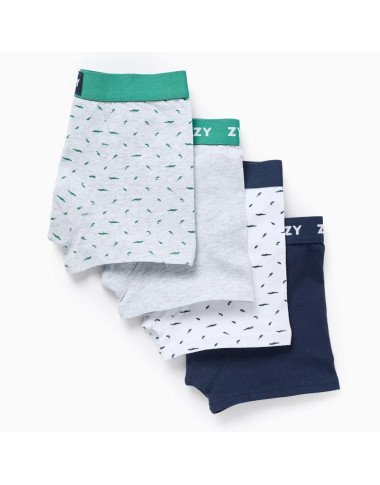 Bokseriai berniukui 4 vnt. rinkinys