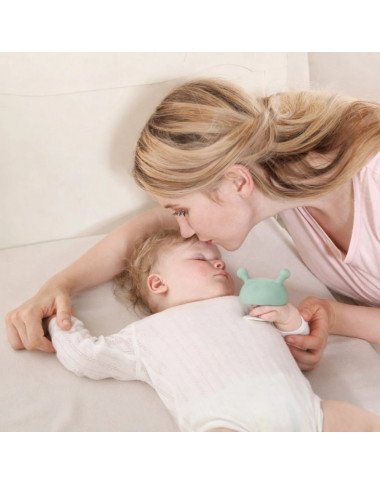 Mombella kramtukas Grybas Eucalyptus