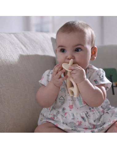 Mombella kramtukas drambliukas, rusvas Mombella kramtukas drambliukas, rusvas