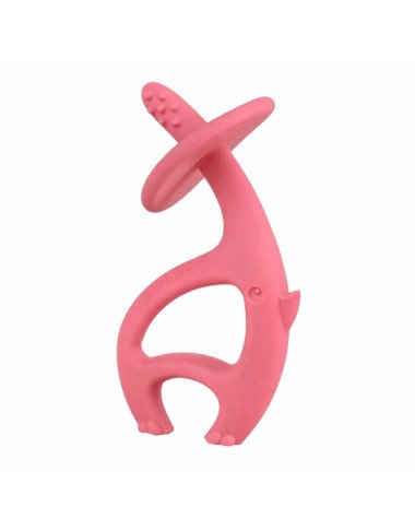 Mombella zobgrauzis Zilonītis, pink