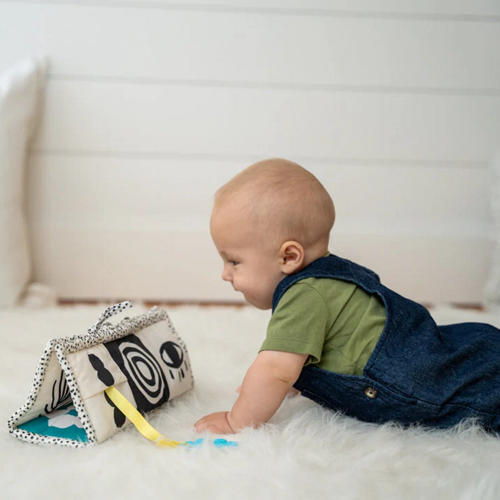 Juodai balti kontrastingi paveikslėliai kūdikių regos lavinimui